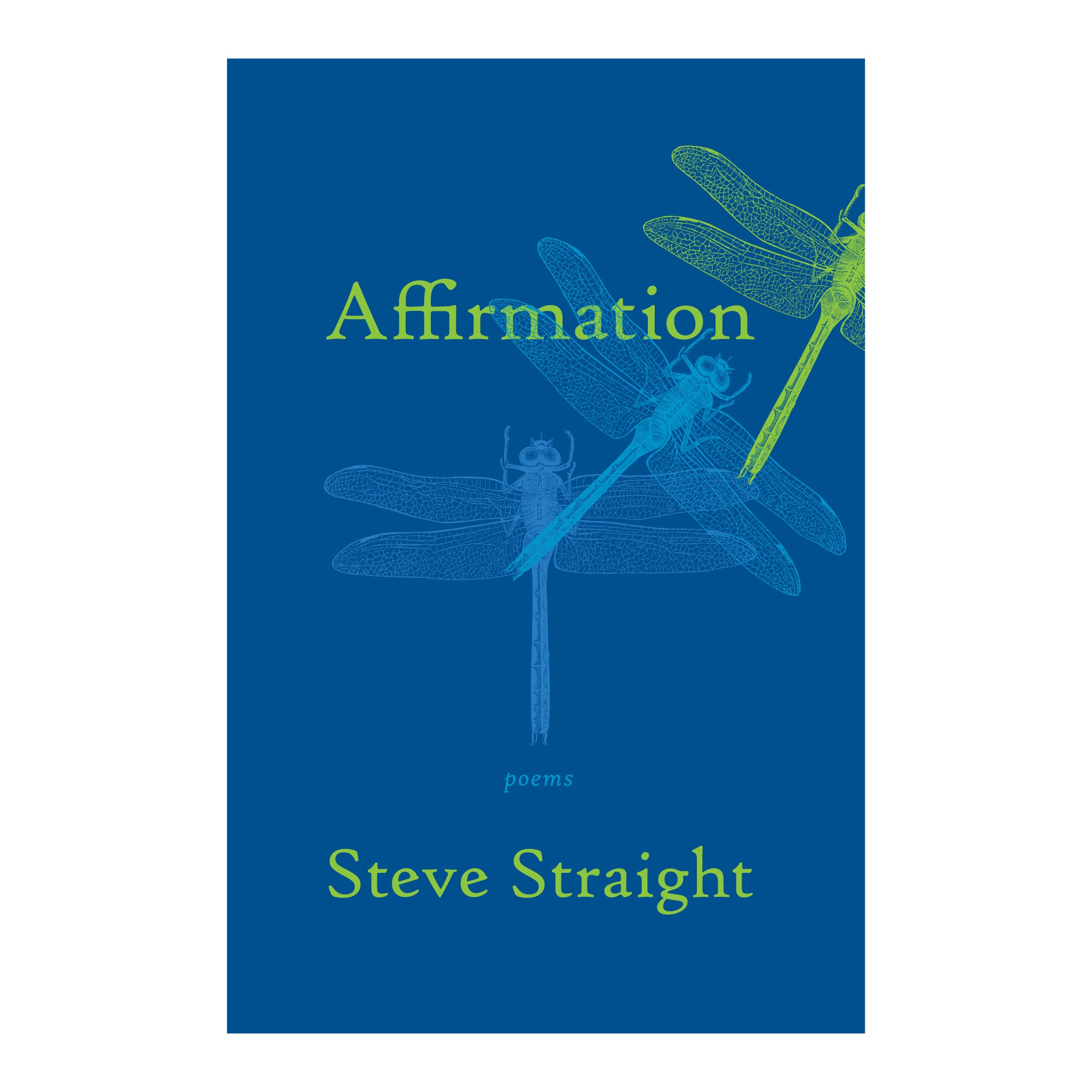 Affirmation By Steve Straight – Grayson Books