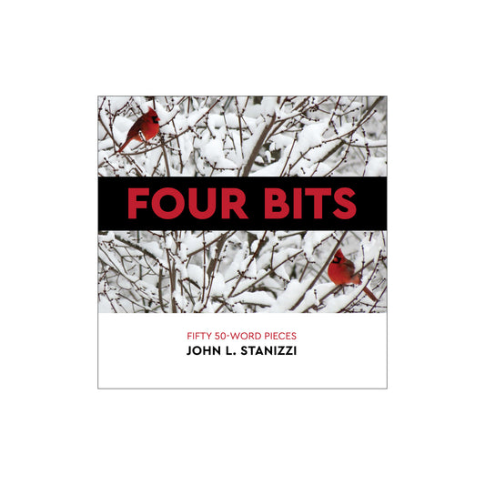 Four Bits by John L. Stanizzi