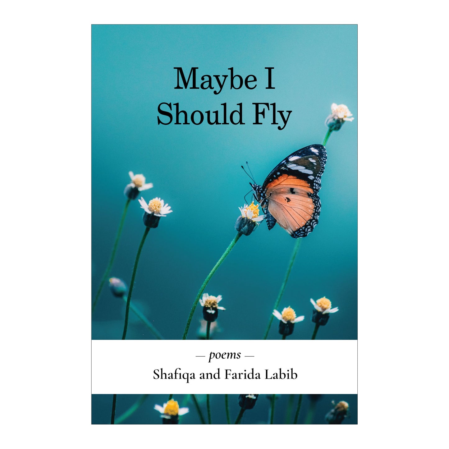 Maybe I Should Fly by Shafiqa and Farida Labib