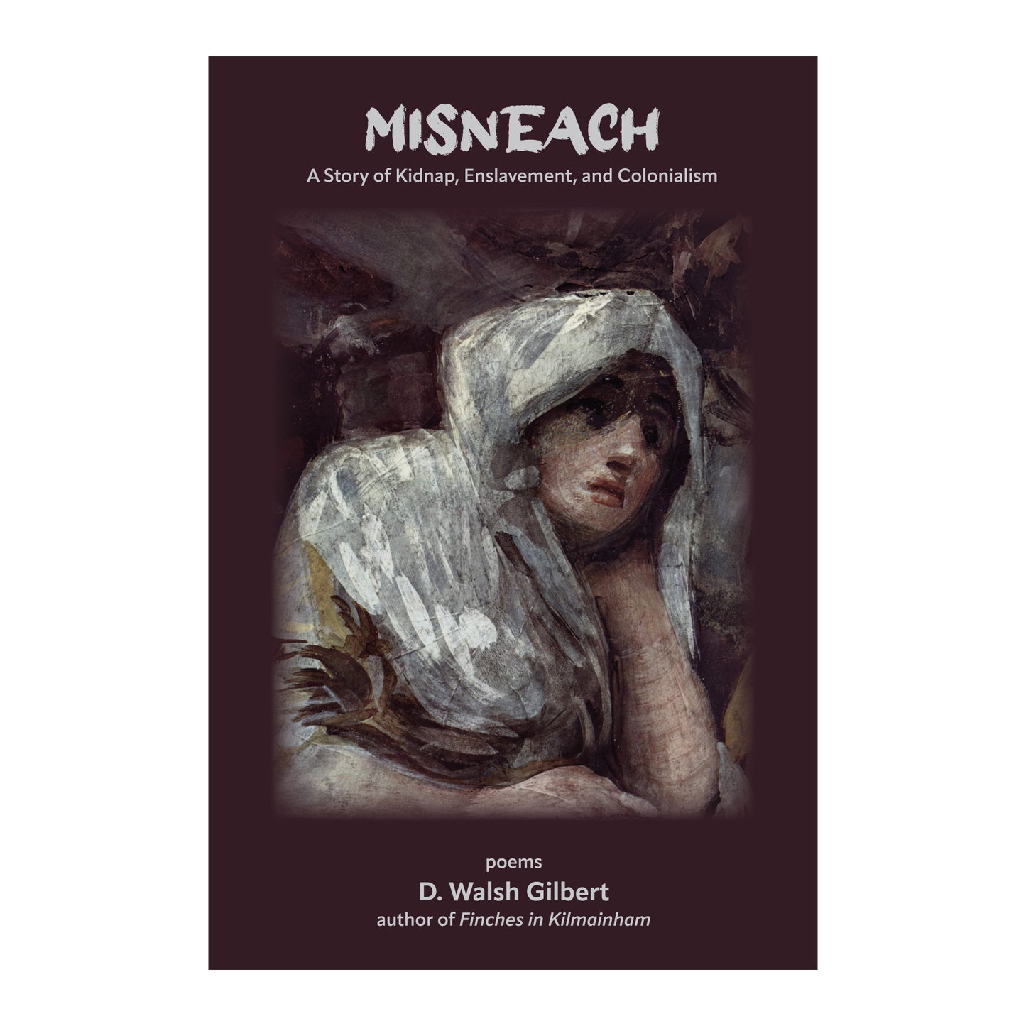 Misneach: A Story of Kidnap, Enslavement & Colonialism by D. Walsh Gilbert