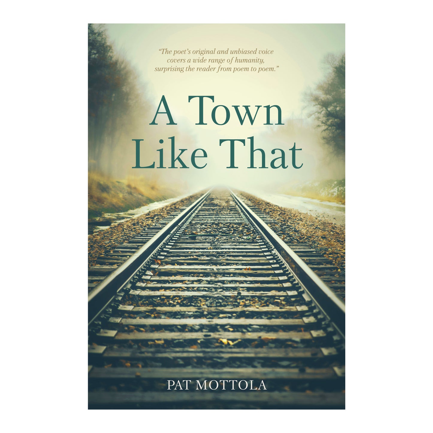 A Town Like That by Pat Mottola