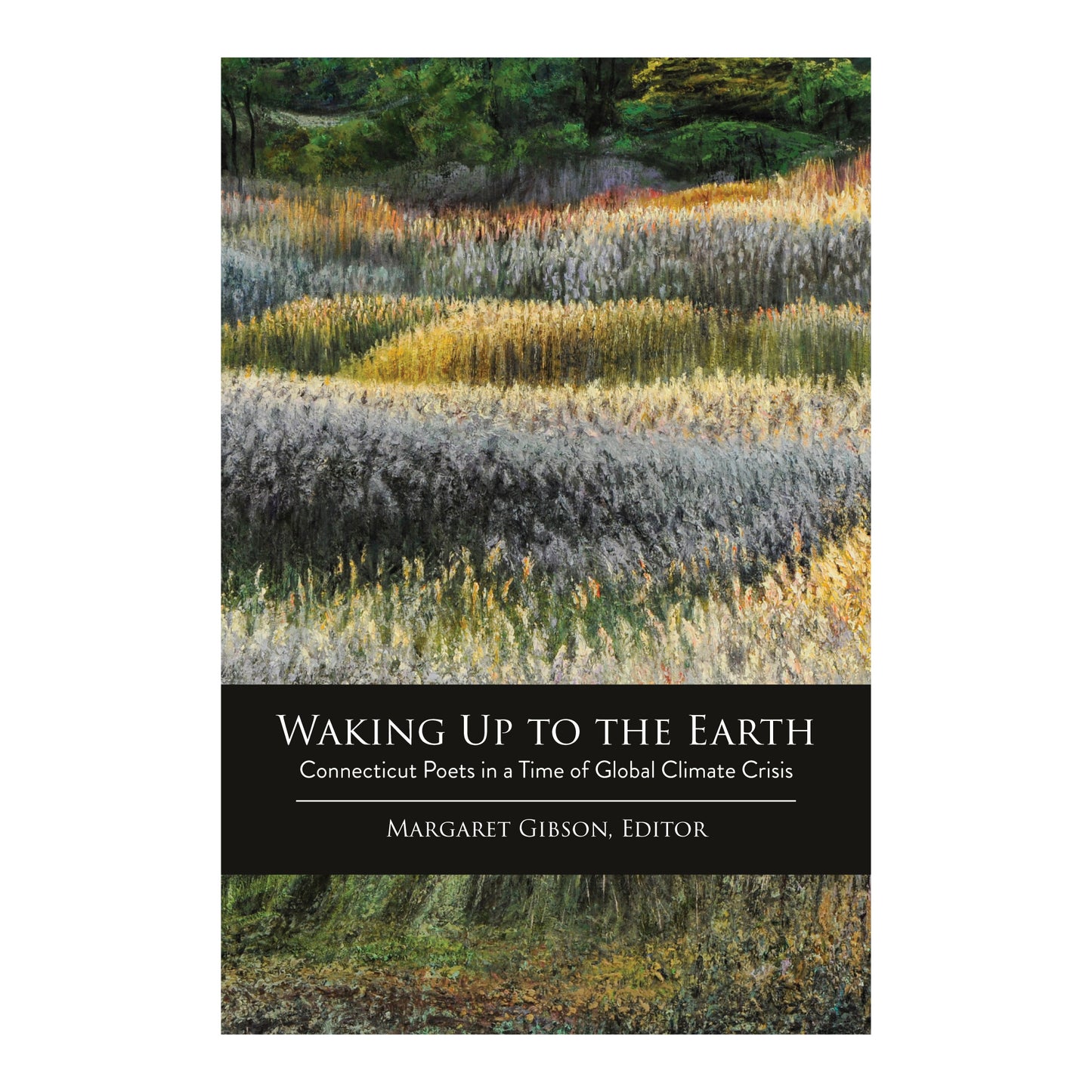 Waking Up to the Earth: Connecticut Poets in a Time of Global Climate Crisis