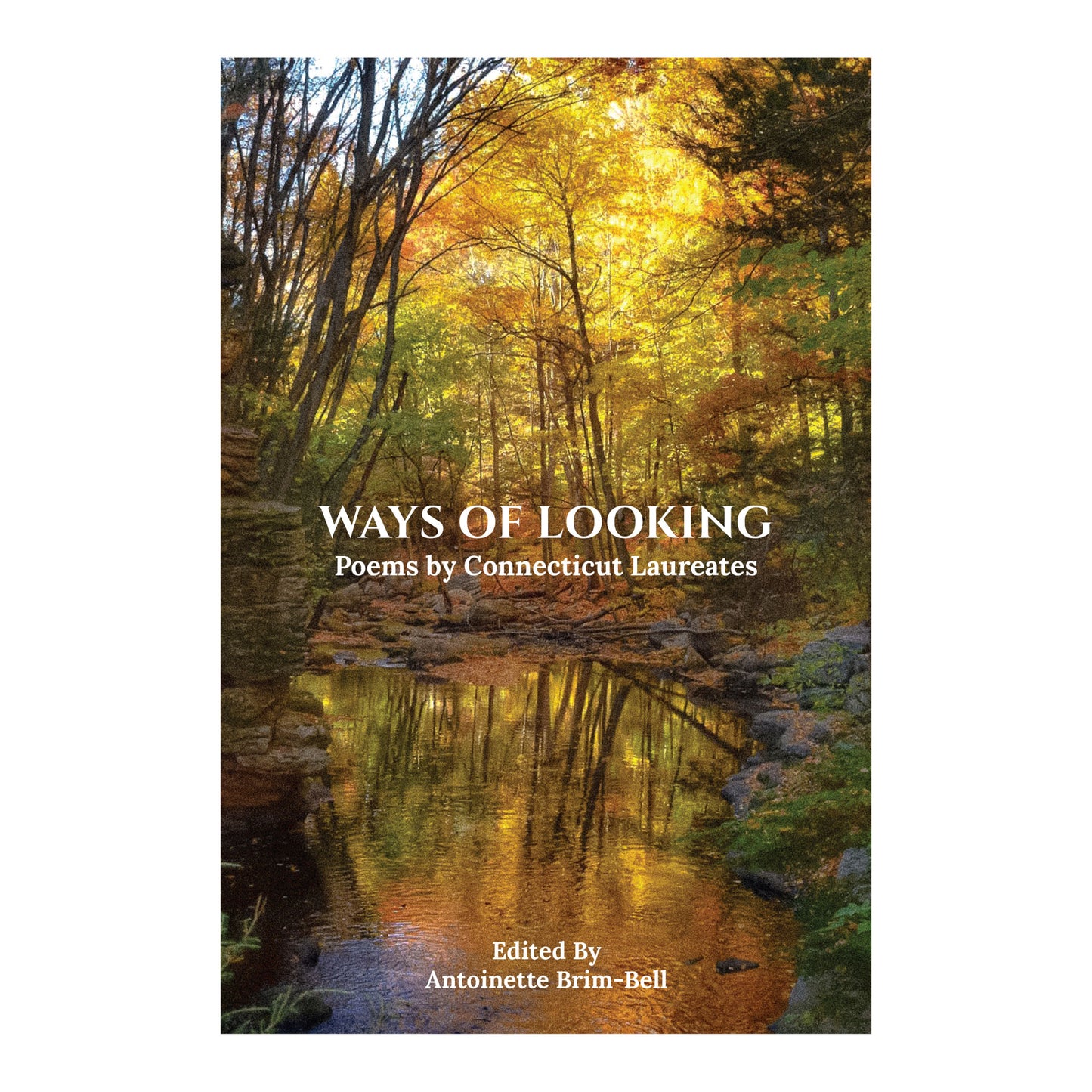 Ways of Looking Edited by Antoinette Brim-Bell