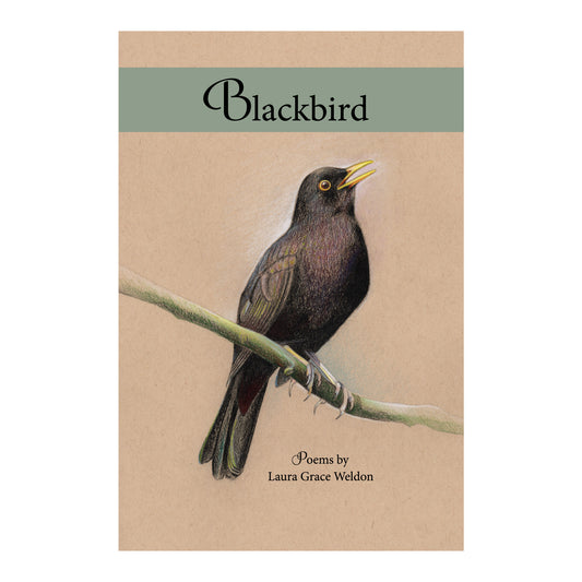Blackbird by Laura Grace Weldon