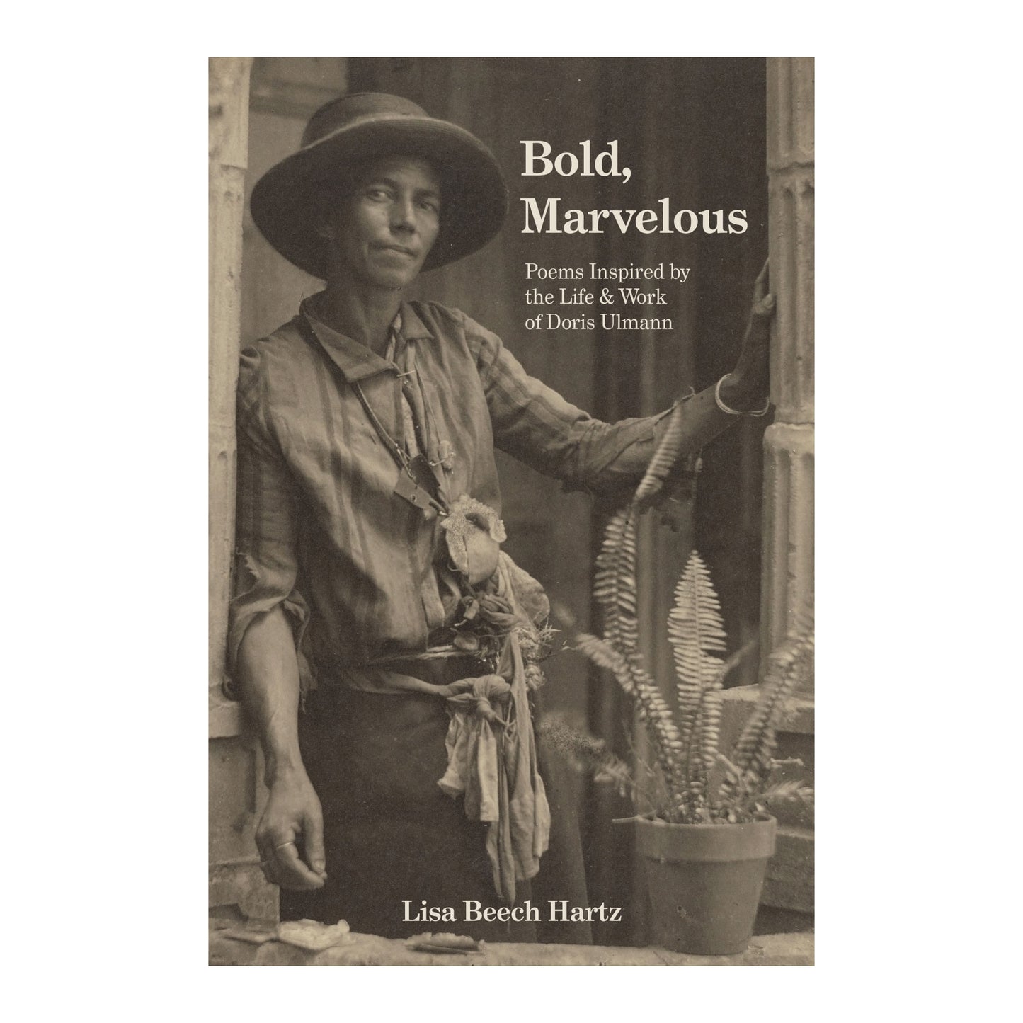 Bold, Marvelous by Lisa Beech Hartz