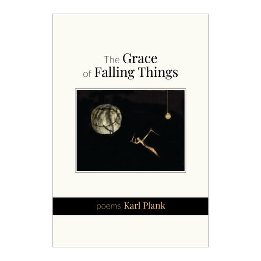 The Grace of Falling Things by Karl Plank